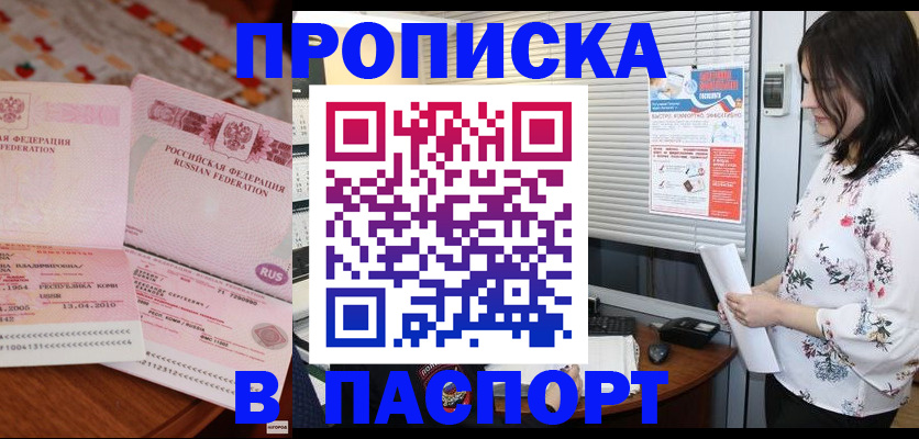 прописка гарантия в Павловске
